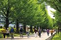 公園大通り