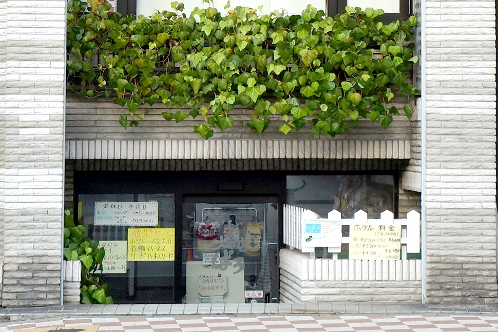 犬猫の店ぱろ亀戸店