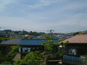 神奈川県横浜市上大岡のペット可(犬猫)ペット共生賃貸マンション サンバレー上大岡10からの眺望