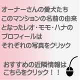 �V�z�y�b�g�����^�}���V�����@�����V�h���u�s���Ɛ��v�k���Q���@�����[�i�@���ӏ��