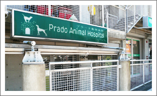 プラード動物病院/ペット共生型賃貸マンション「サンクレスト緑園都市」
