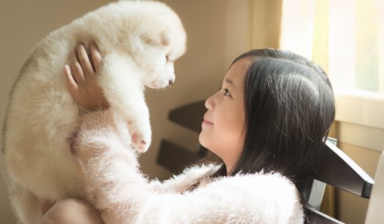 潜在顧客の掘り起こしとペット飼育者の囲い込み