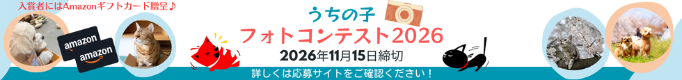 大切なペットとの幸せな時間や、一緒に過ごした楽しい思い出などが伝わる写真を募集 うちの子フォトコンテスト2026