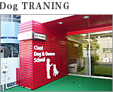 Dog TRANING