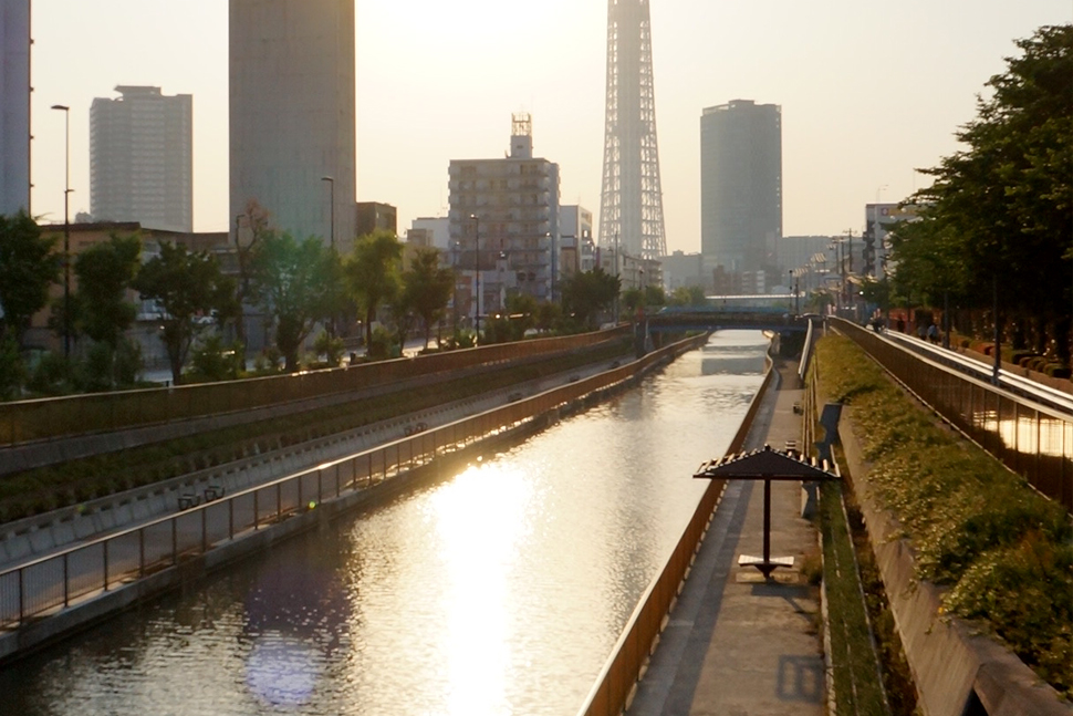 整備された川沿い