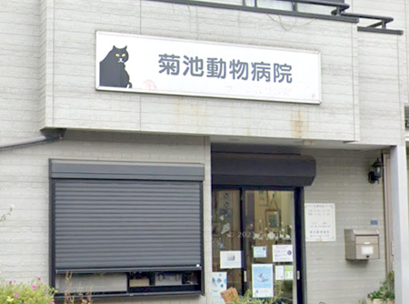 菊池動物病院