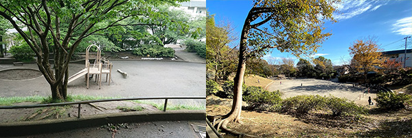 日吉本町鯛ヶ崎公園