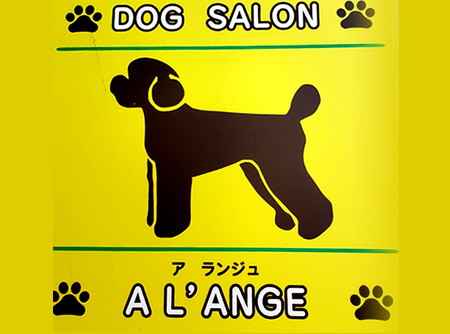 OG SALON A L’ANGE