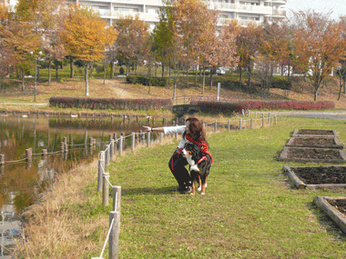 グランデボーグお散歩コース｜牛久保公園