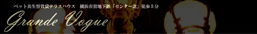 ペット共生型賃貸テラスハウス　横浜市営地下鉄「センター北」徒歩５分　グランデボーグ