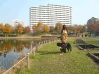 徳生公園