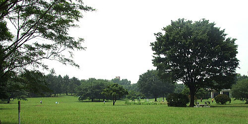 東京都立光が丘公園