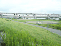荒川緑地