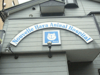 原動物病院