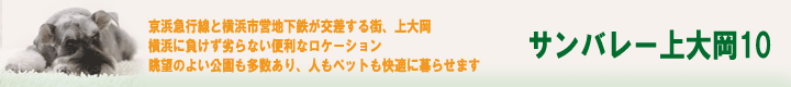 神奈川県横浜市上大岡のペット可(犬猫)ペット共生賃貸マンション サンバレー上大岡10