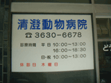 東京都江東区の動物病院 清澄動物病院
