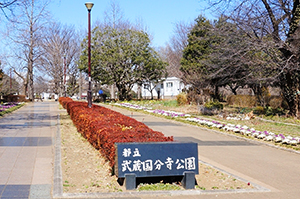 都立武蔵国分寺公園