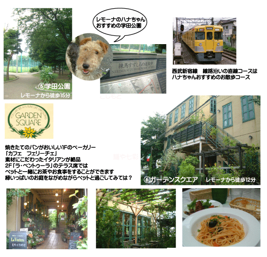 ペット共生型マンション　西武新宿線「都立家政」徒歩２分　レモーナ　ペットと一緒に過ごせる公園やカフェ