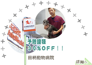 田柄動物病院「予防接種30％ＯＦＦ！！」