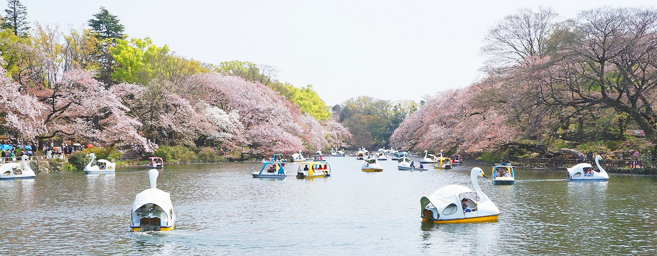 井の頭公園