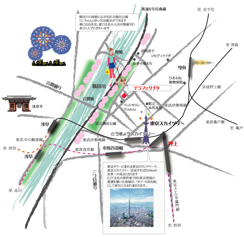 ペット共生型賃貸マンション　デラフェリチッタ  東京メトロ半蔵門線・都営浅草線「押上」徒歩11分　向島周辺地図