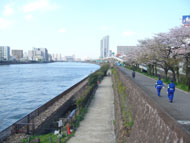 隅田川沿い遊歩道