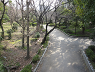 隅田公園