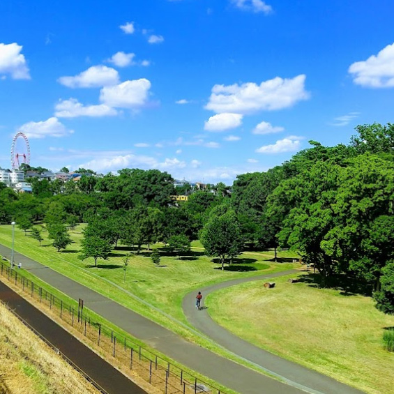 都立狭山公園