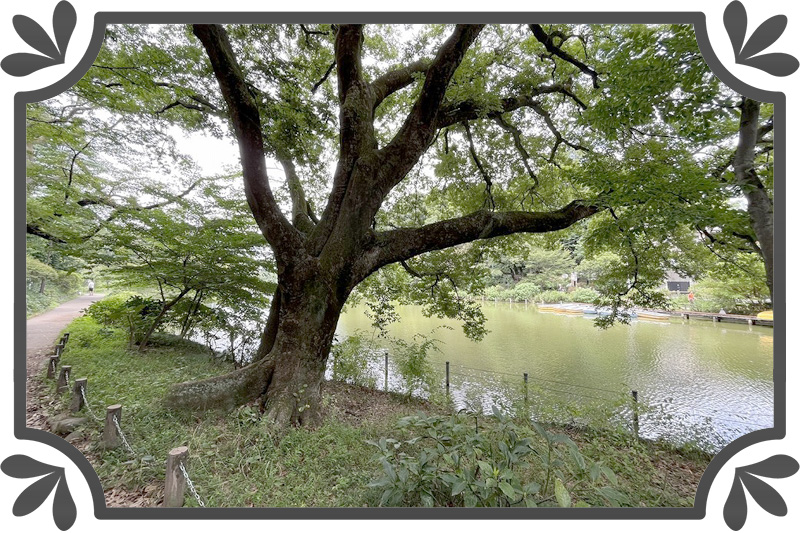 善福寺公園