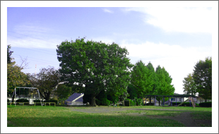 なるせ児童公園