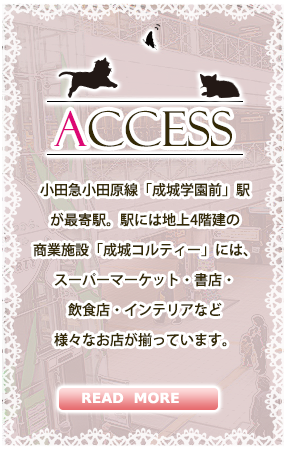 アクセス