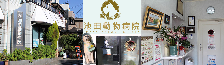 池田動物病院