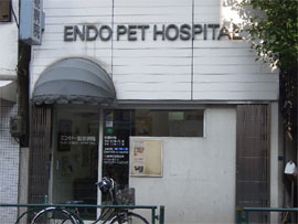 東京都新宿区大久保の動物病院 エンドー動物病院