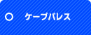 東京都新宿区大久保のペット可(犬猫)ペット共生賃貸マンション ケープパレス