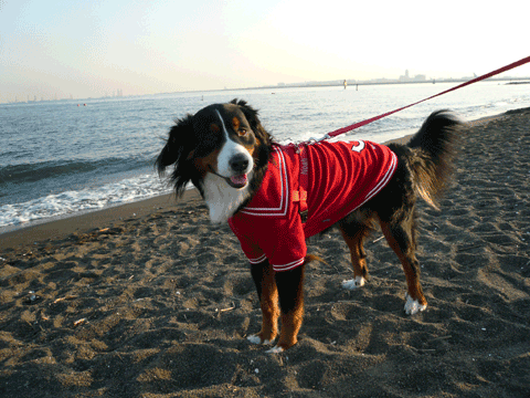 城南島海浜公園