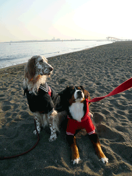 城南島海浜公園