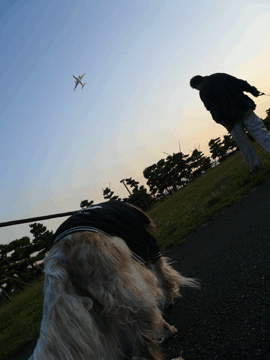 城南島海浜公園