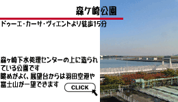 ドゥーエ・カーサ・ヴィエント　ペットとお散歩　森ケ崎公園