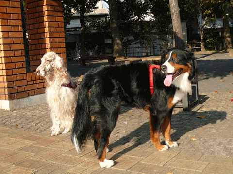 大森一丁目公園