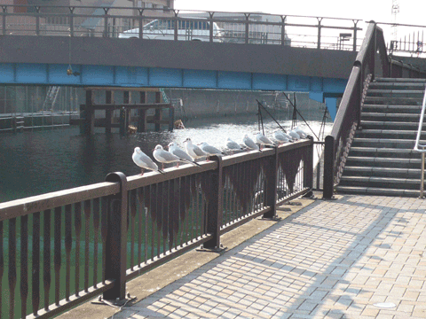 大森一丁目公園