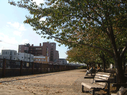 大森一丁目公園