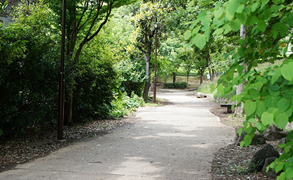 鶴ヶ峰公園～鎧の渡し緑道