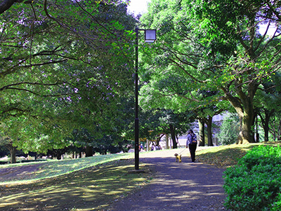 公園ショップイメージ