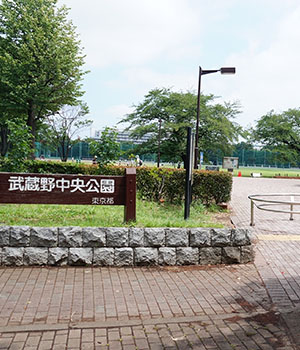 武蔵野中央公園