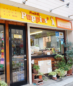 犬のお店Puppies