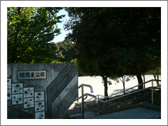 緑園東公園