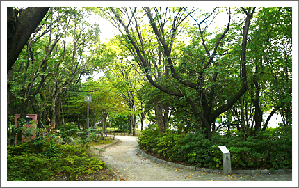 高島平緑道公園/ペット共生型賃貸マンション「Casa de Cura」