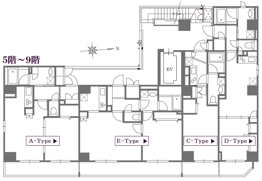 5～9階間取図/ペット共生型賃貸マンション「マストライフ鳥越」