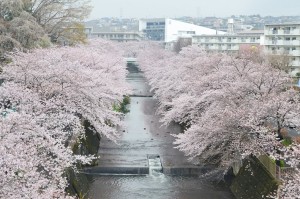 ペットと暮らせる街～町田市成瀬編　vol.2～