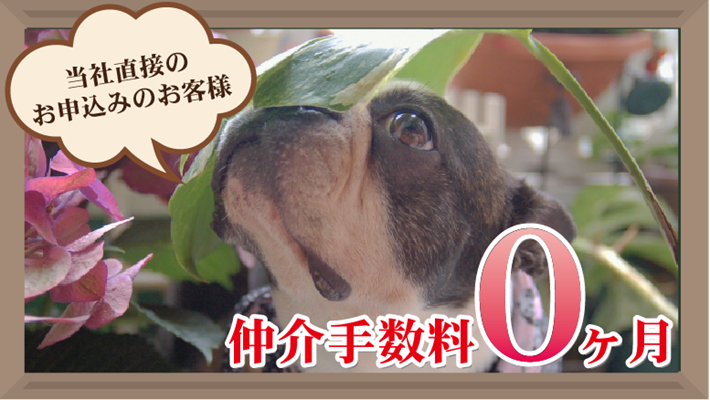 弊社直接のお問合せ・お申込みで仲介手数料が0ヶ月になるお部屋!